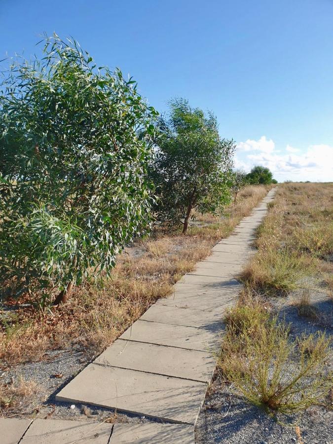 Willa Vista Mare Su Tre Piani Con Giardino Falerna Zewnętrze zdjęcie